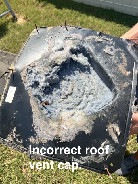 Box style roof cap with a screen installed builds up lint 