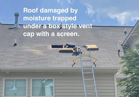 The roof was damaged by moisture trapped under a box-style vent cap with a screen