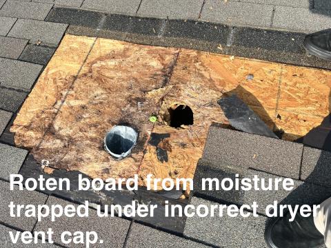 Roten wood board from moisture trapped under incorrect dryer vent cap.